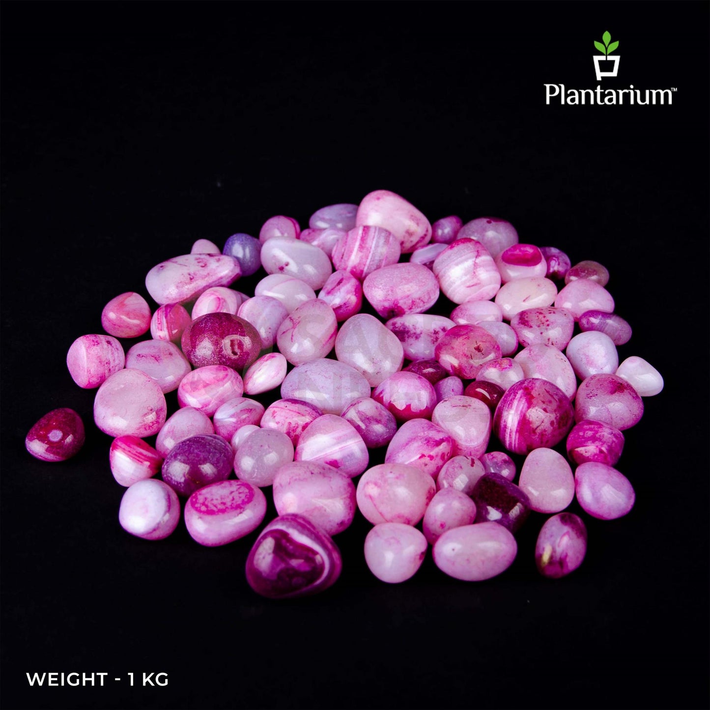 Purple Onyx Pebbles | Premium Polished Onyx Stones for Aquarium, Decor & Spiritual Healing