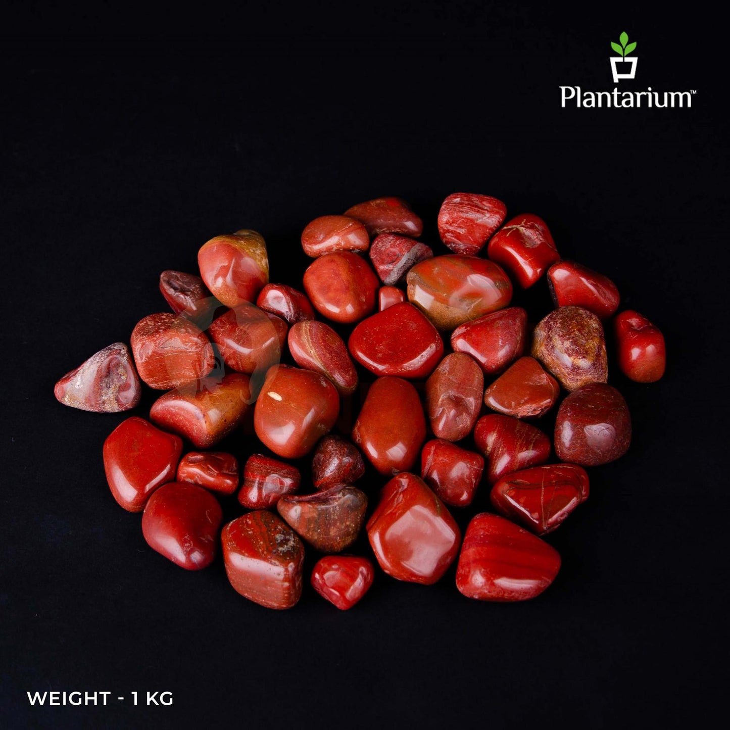 Chestnut Pebbles | Natural Decorative Stones for Home Garden, Pot Filler & Craft Use