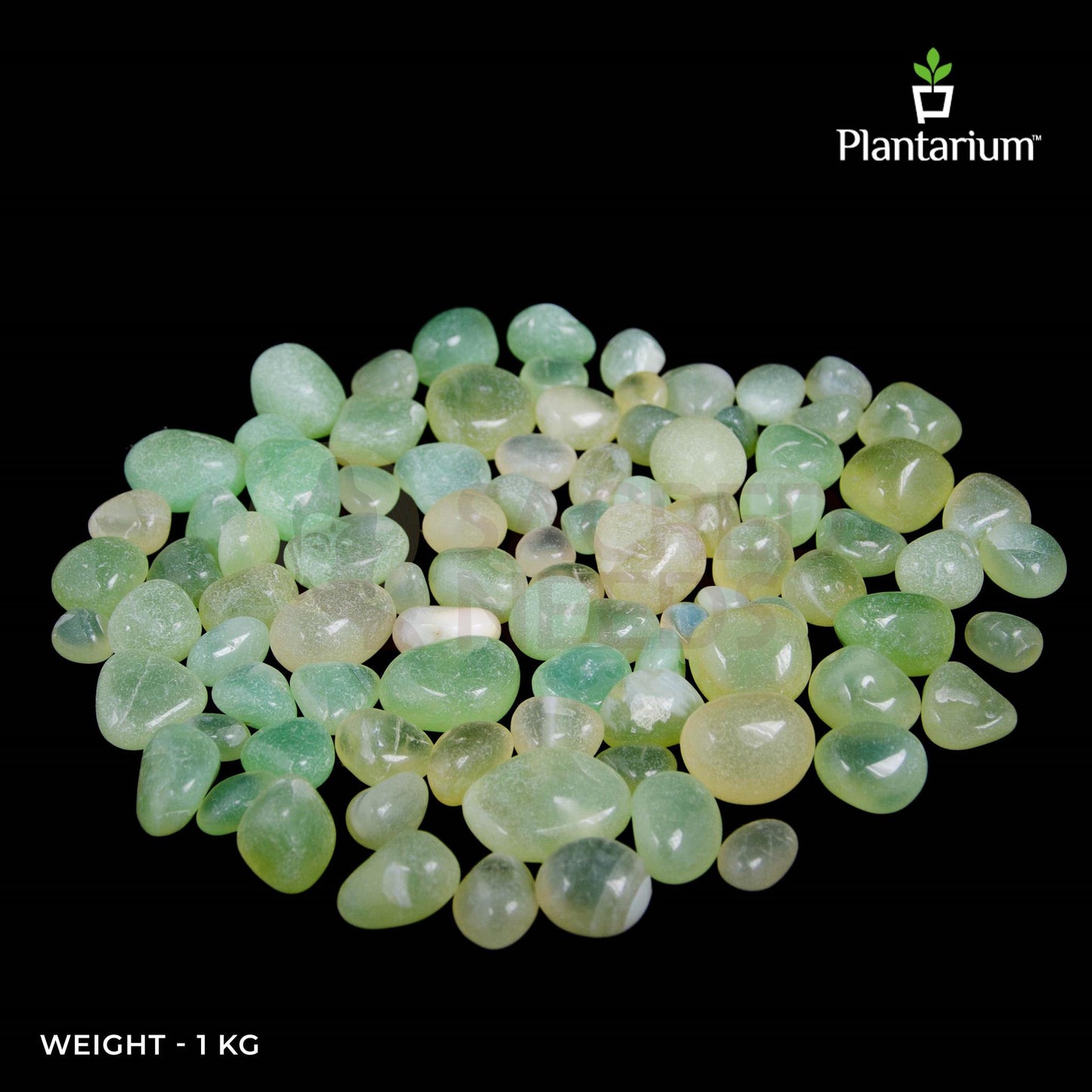 Pistachio Pebbles | Unique Green-Toned Pebbles for Landscaping, Home Decor & Planters