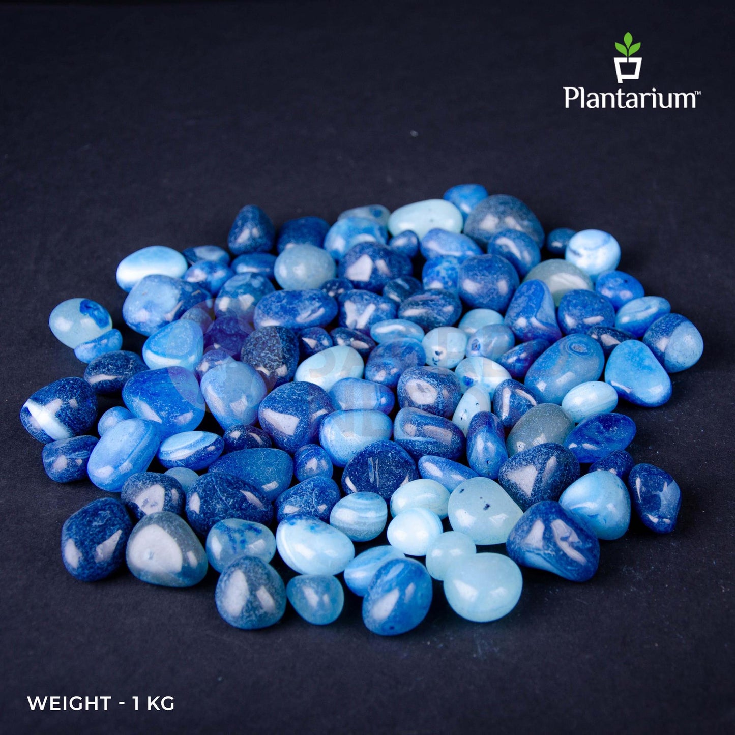 Sapphires Pebbles | Blue Decorative Pebbles for Aquarium, Feng Shui & Interior Styling