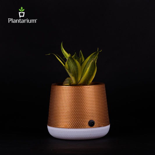 PVC 9420 MK- LED POT