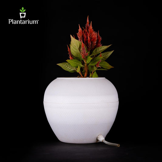 PVC 9470 KIWI LED POT