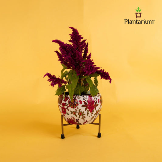 METAL H-MEENA POT WITH STAND