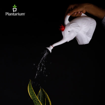 PVC 5204 ELEPHANT WATERING CAN