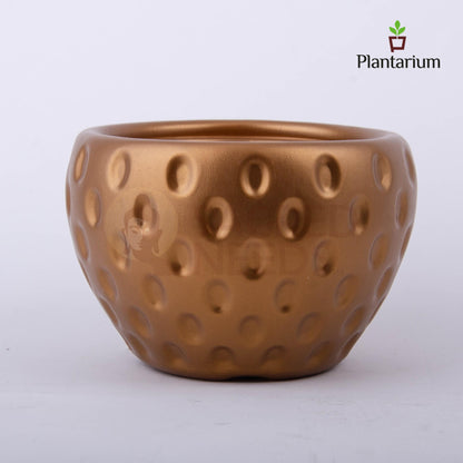 PVC 181A AMBIENCE POT WITH STAND