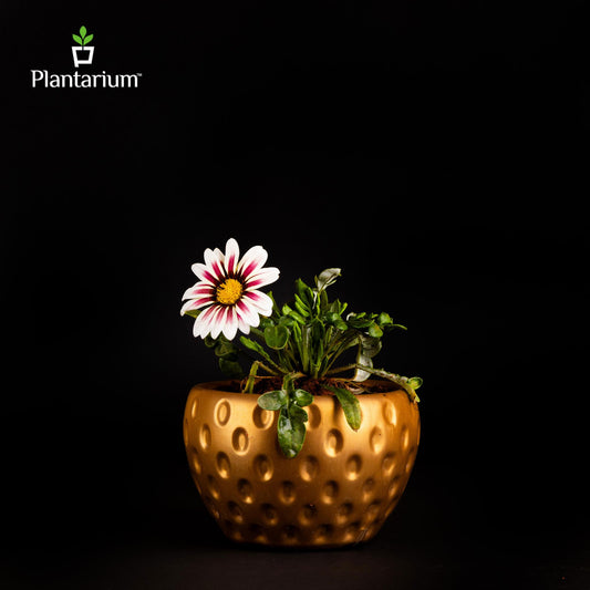 PVC 181A AMBIENCE POT WITH STAND