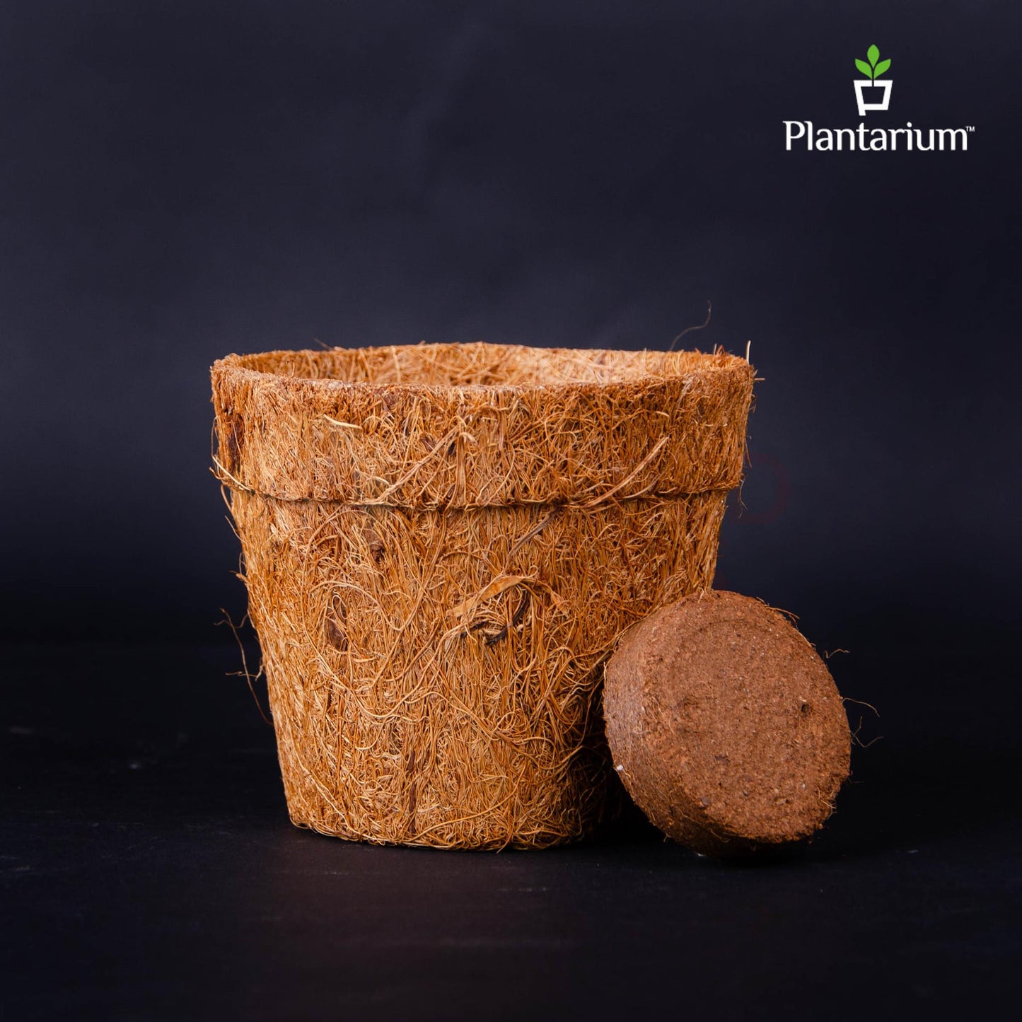 COIR POT AND COIN GROW KIT