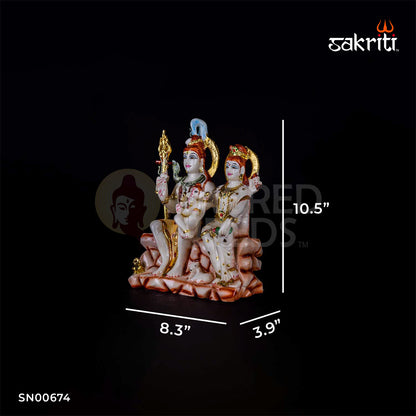 MARBLE DUST CM SHIV FAMILY