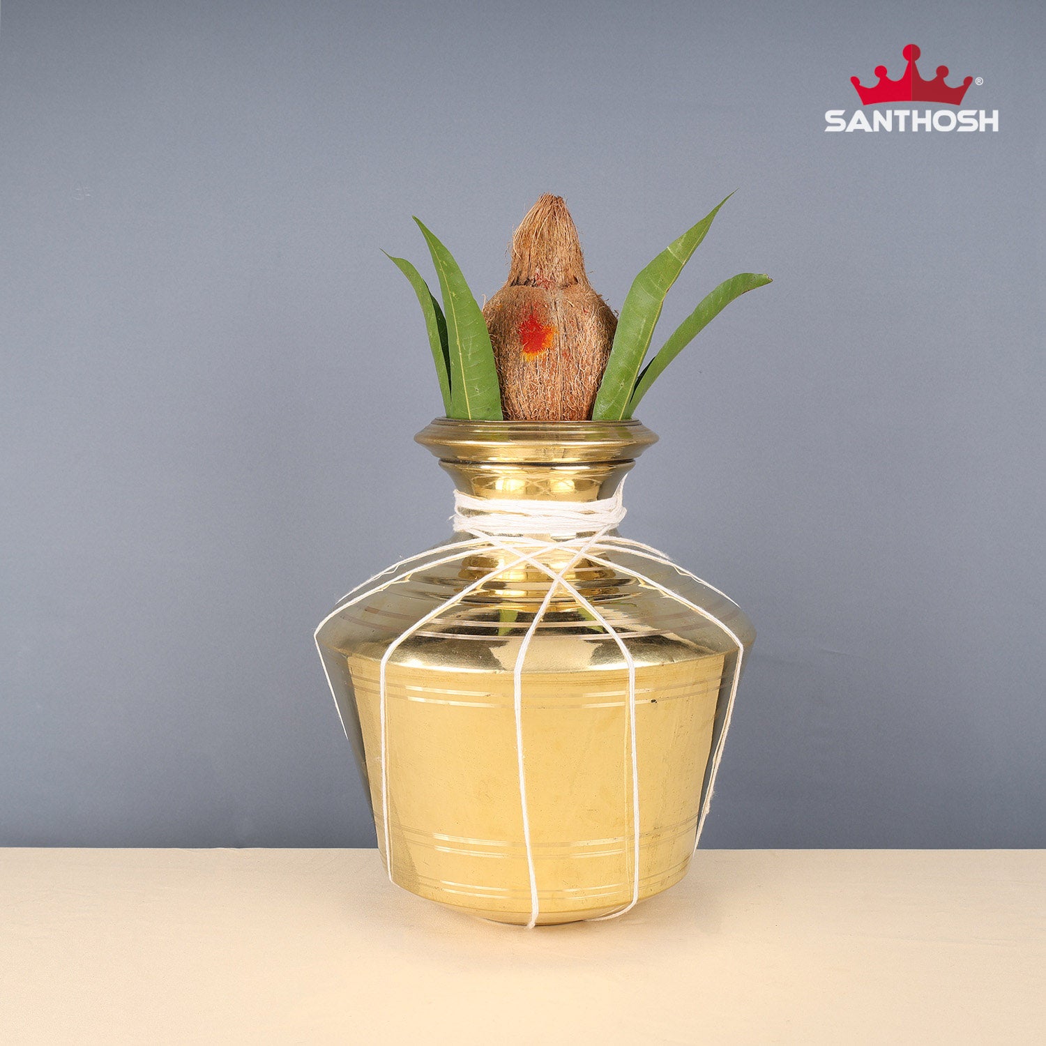 spicy gem 鶴仙園studs pot ver.HIDE brass spicy gem studs ver.HIDE brass pot 鶴仙園 鉢